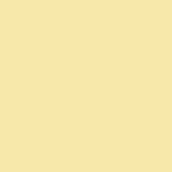 651 Sign Vinyl Regular Colors - Image 13